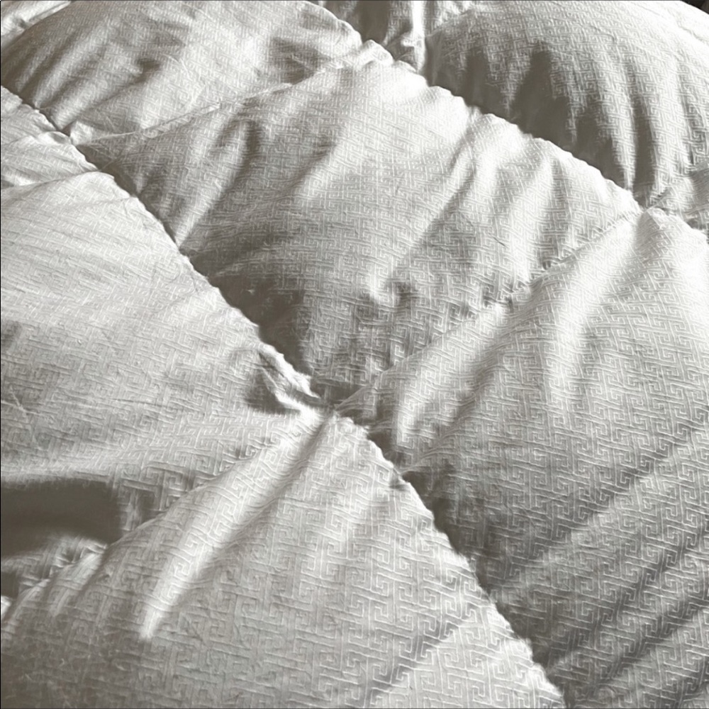 Premium Down Comforter - King size
